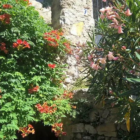 Les De St Guilhem *