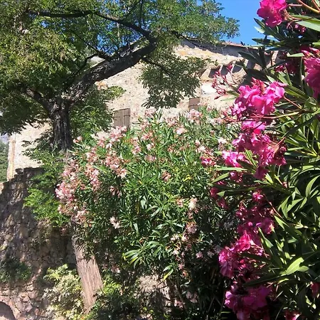 Les De St Guilhem Guest house *